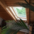 Dachfenster