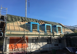 neue Dachgaube