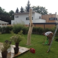 bearbeiteter Baum als Segel