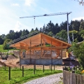 Feldstadl